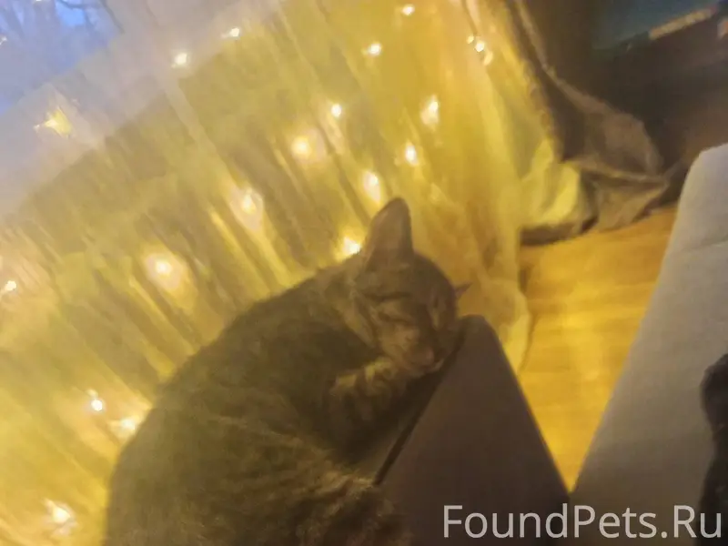 Писала уже пост , но попробую ...