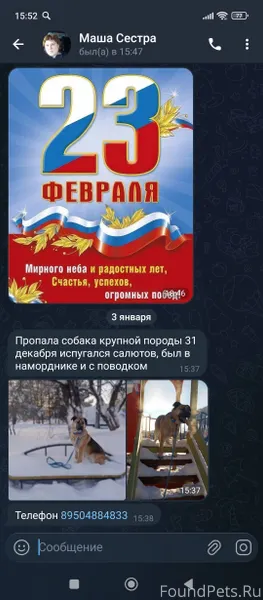 Потерялась собака