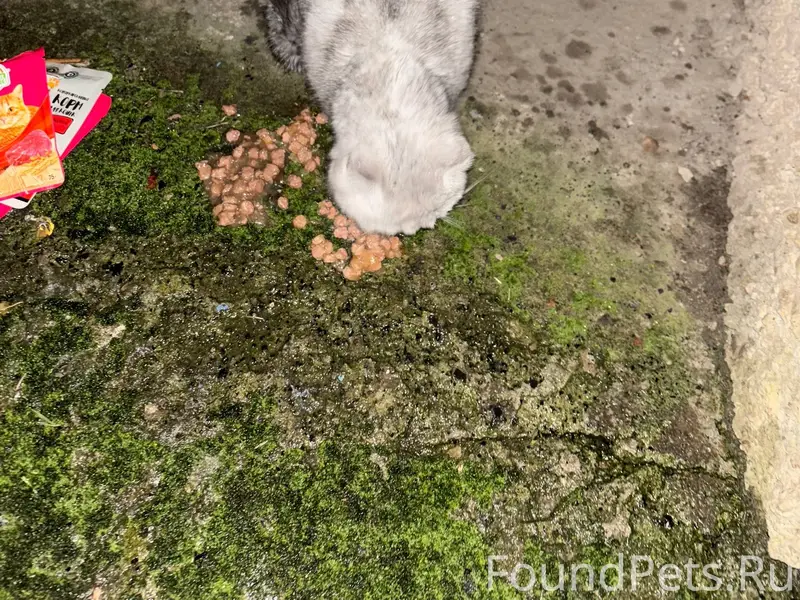 🆘🆘🆘 Зугрэс По ул. Ленина 7...