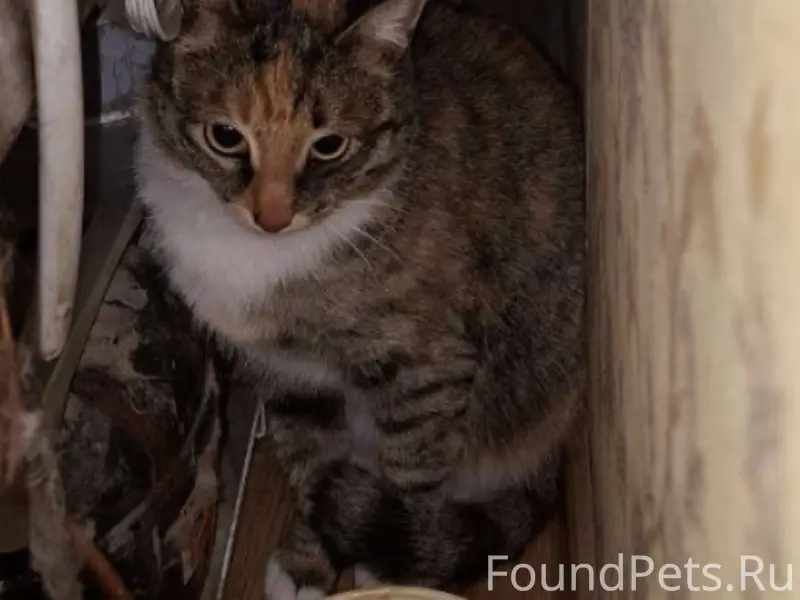 Здравствуйте Мы по срочному вы...