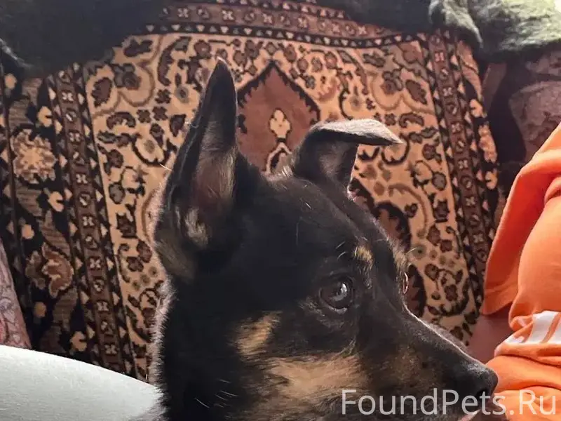 Здравствуйте! Вчера 02.01.2025...