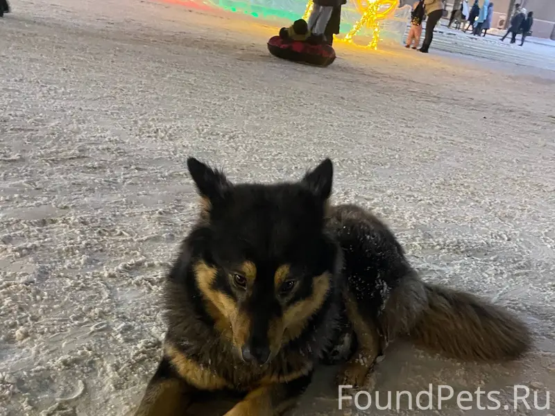 Админ опубликуй пожалуйста 🙏 Ч...