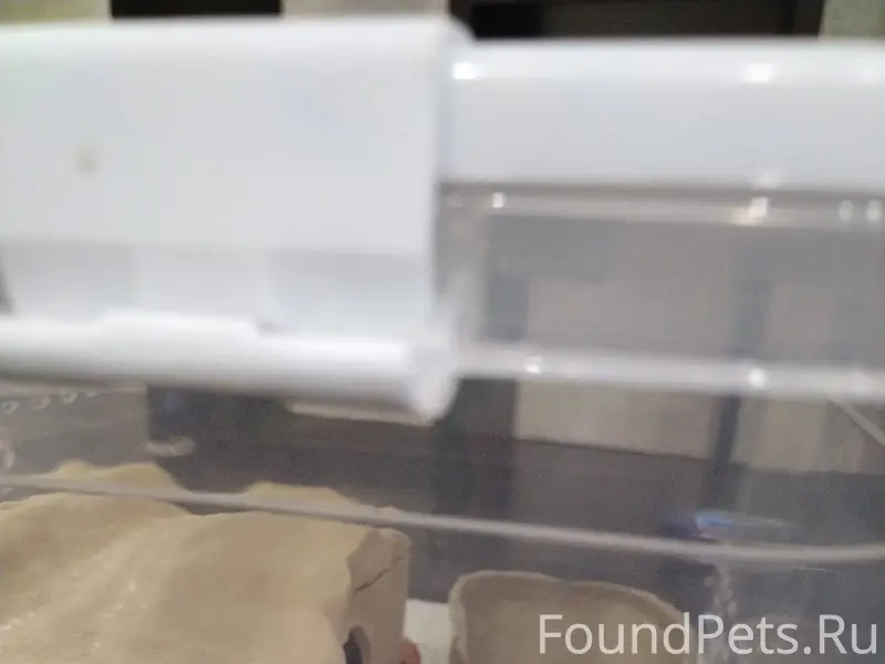 #Возвращениеблудногосына🙏 Кажд...