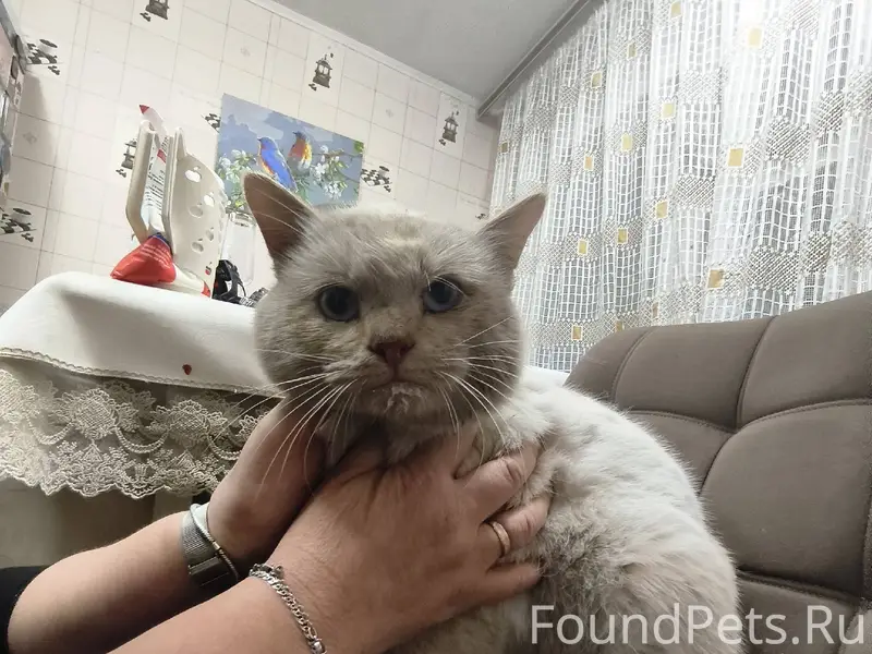 НАЙДЕН КОТ!!! В старой зареке ...