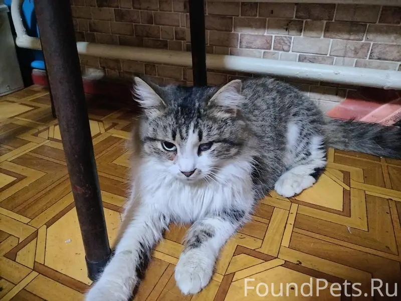 Здравствуйте! 03.01.26 в ПГТ.....