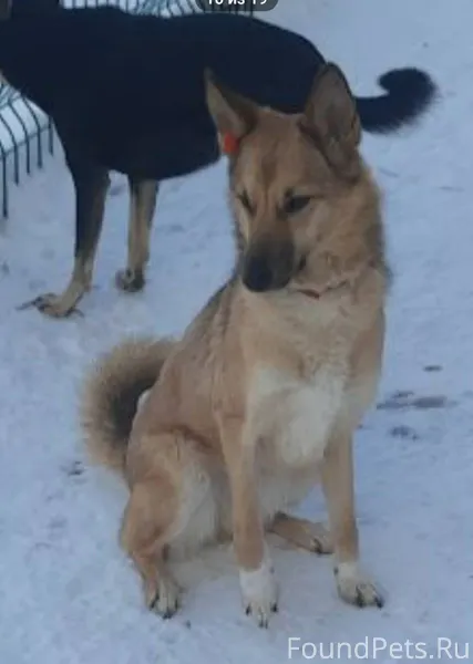 А еще у нас есть вот...