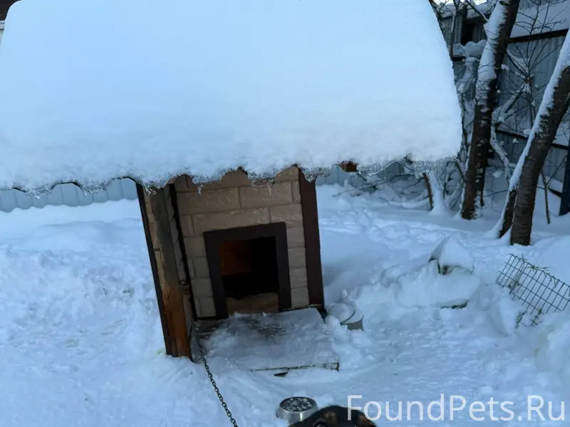 Добрый вечер! 2.01 в 15...