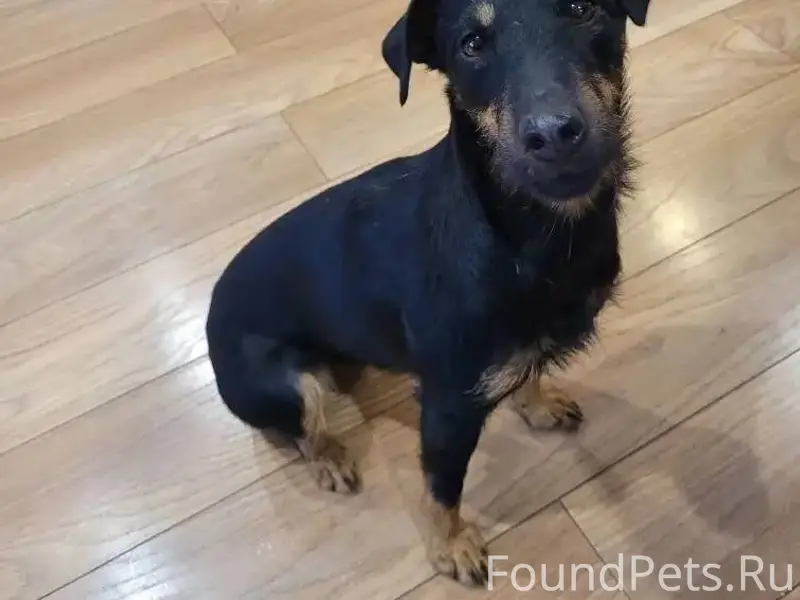 Доброго времени суток! Потерял...