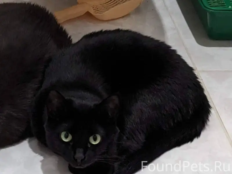 Всех с Новым Годом! У нас...