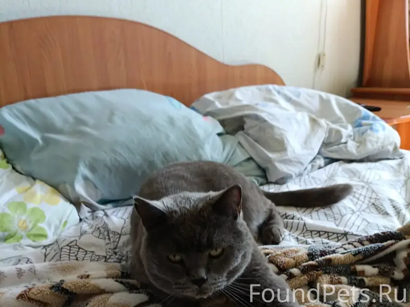 01.01.26 в 00:30...