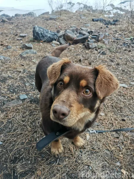 Друзья, максимальный репост🙏 П...