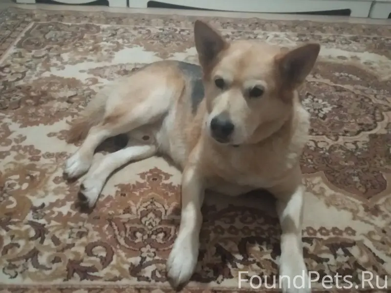 Вилейка! Большая просьба о пом...