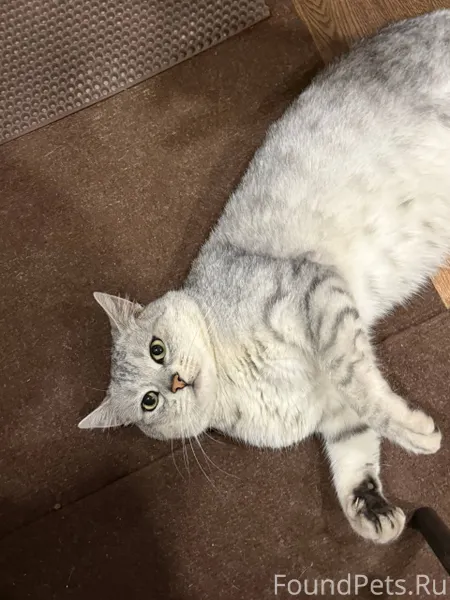 Уважаемые друзья! В районе Кра...