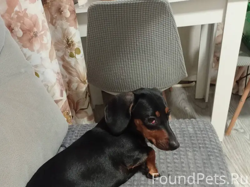 В Санатории Городецкий , пропа...