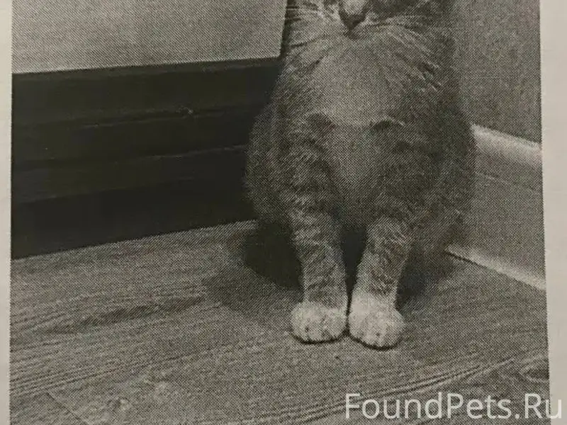 Дорогие друзья! В эти волшебны...