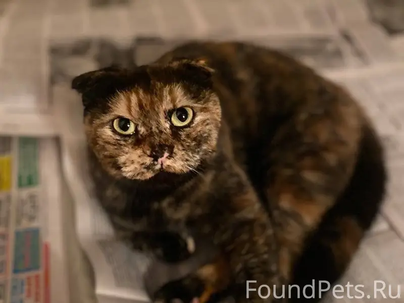 Вчера на Исети в районе набере...