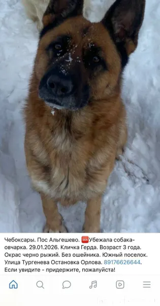 Чебоксары. Южный поселок!пропа...