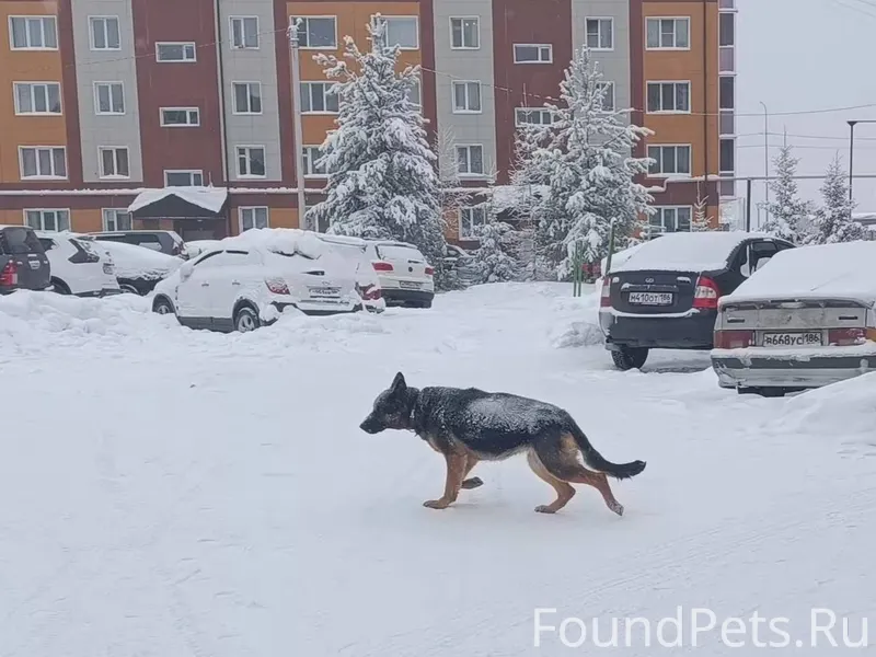 Друзья! Никто не терял друга? ...