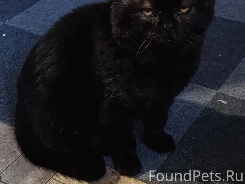 В районе 9 школы с пн...