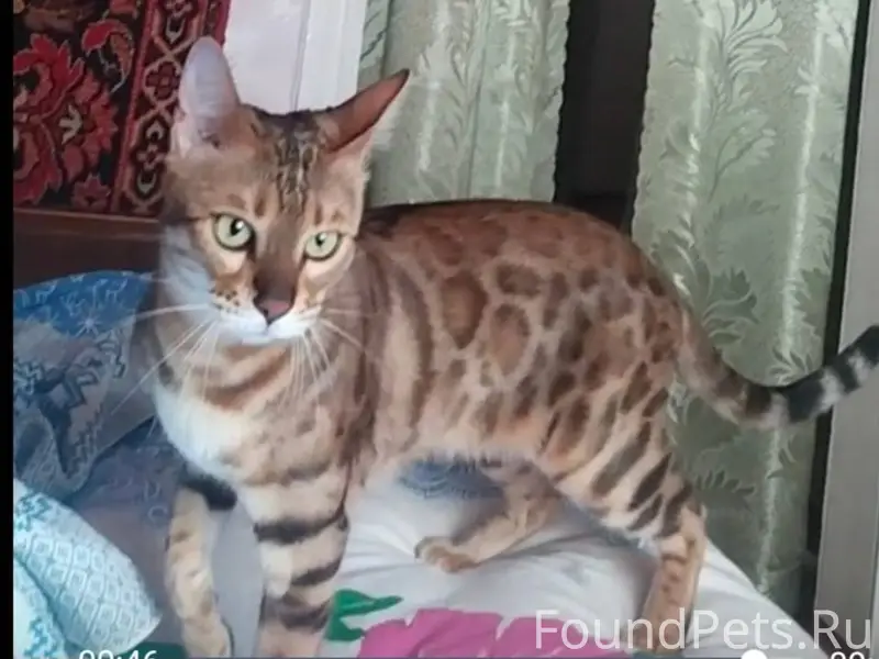 Поиски продолжаются 🙏🙏🤞 Пропал...