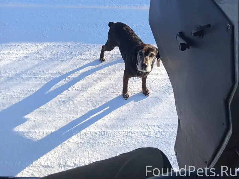 Доброго дня! Вчера, 29.01.26.....
