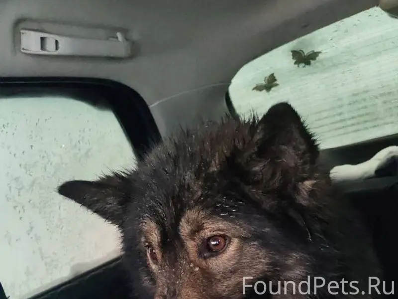 В Сарманово на дороге найдена ...