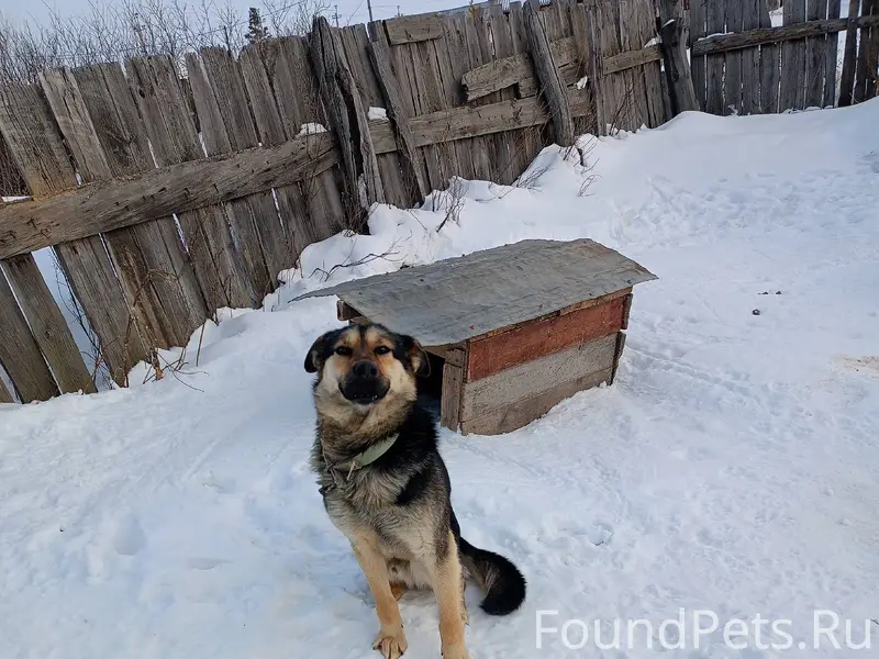 Добрый вечер пропала то есть у...