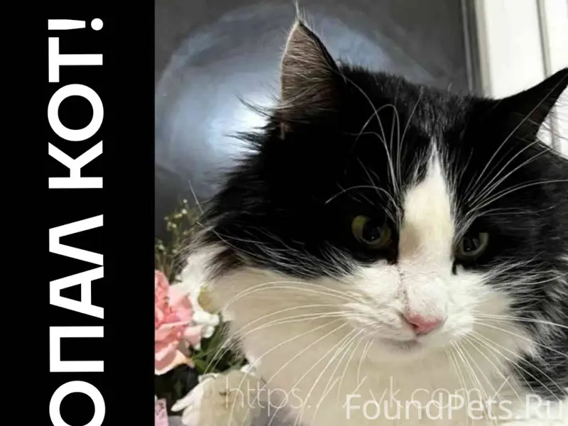 Саратов, поселок Семхоз. Пропа...