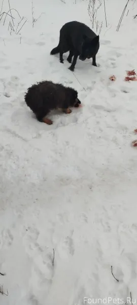 Тольятти. https://vk.com/wall4...