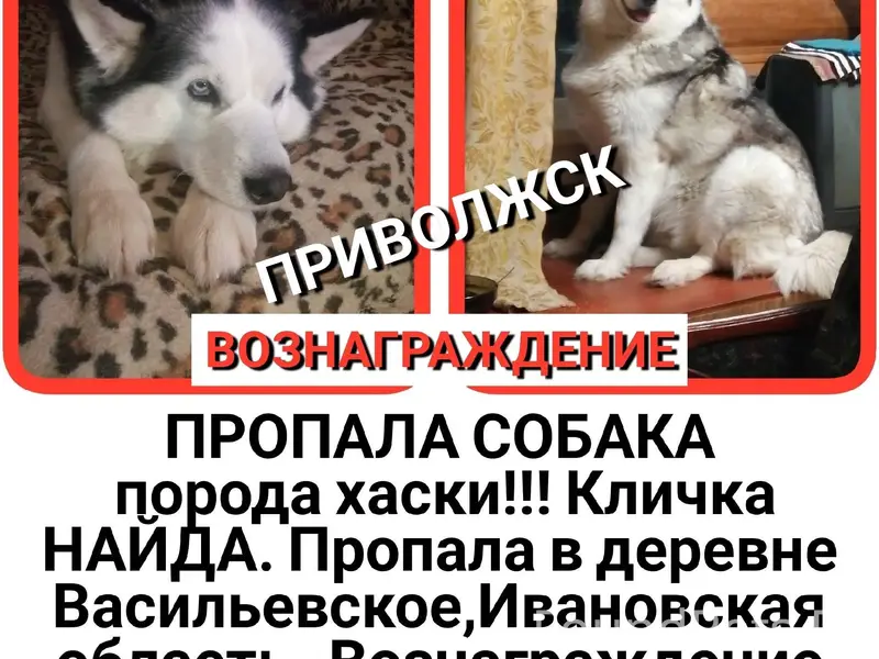 Продолжаем искать НАЙДУ!!! Соб...