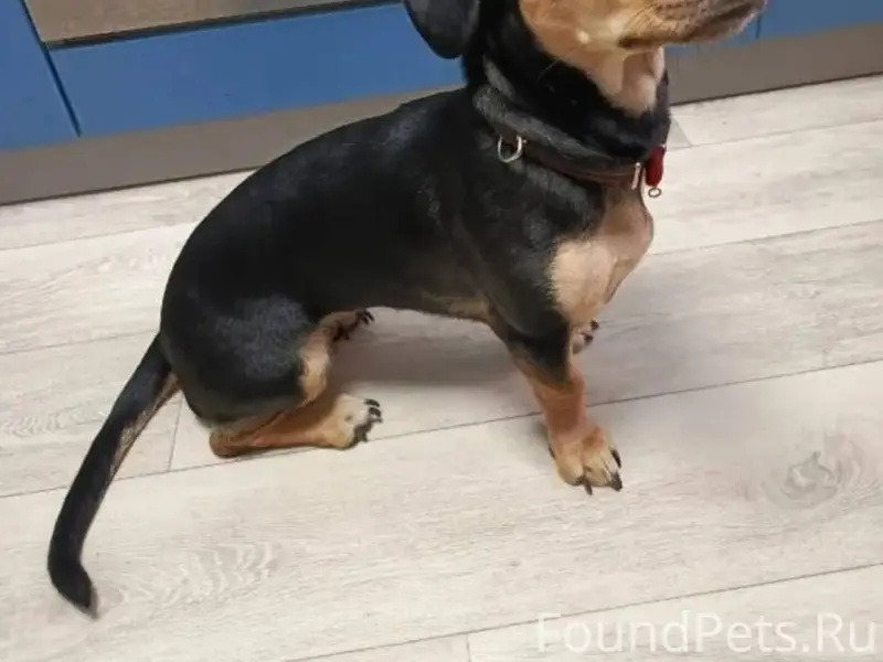 Волгоград. Красноармейский. 30...