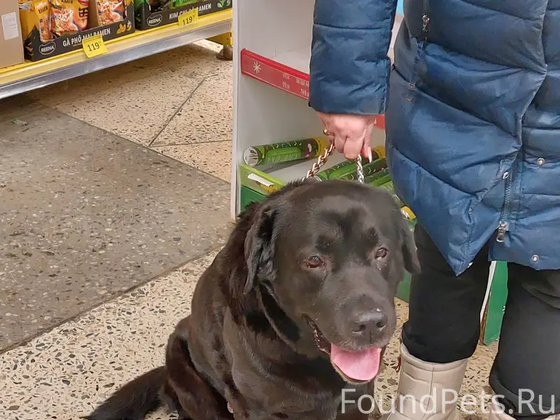 Люди, добрые!!! В Канищево, на...