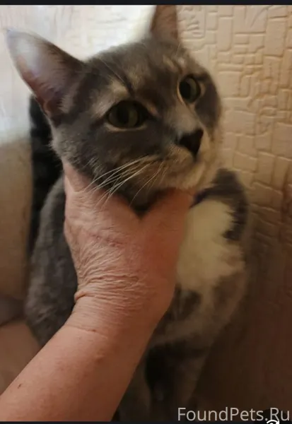 Извините уважаемый админ ,но о...