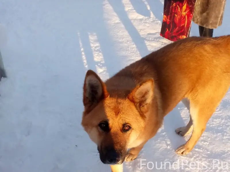 Появилась несколько дней назад...