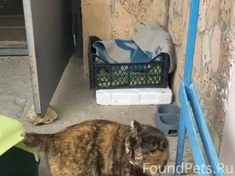 Помогите пожалуйста Евпатория ...