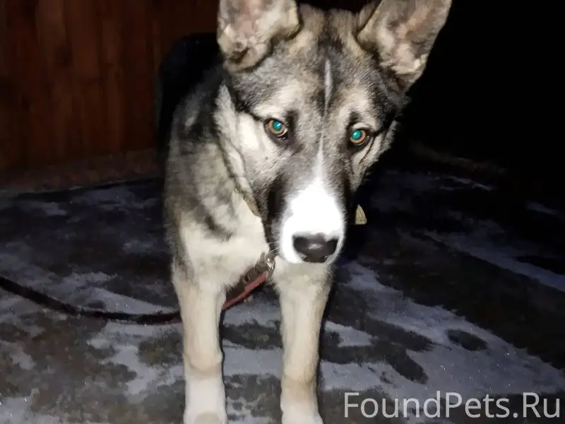 Помогите пожалуйста если увиде...