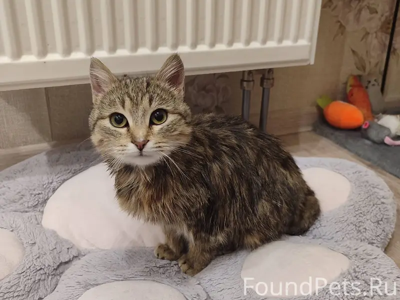 Добрый вечер. 30.01 в 17...