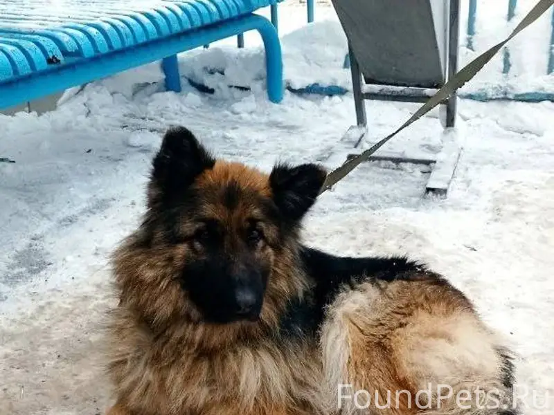 Саратов. Вольский тракт. Совхо...