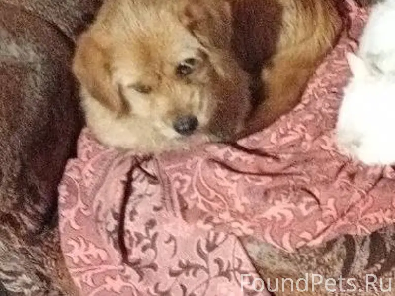 Внимание! В районе Бандажников...