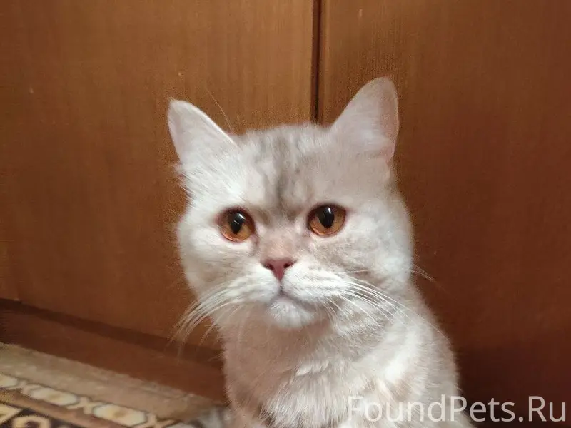 Пожалуйста помогите! Пропал ко...