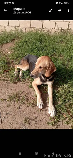 С.Сюмси, в центре с лета...