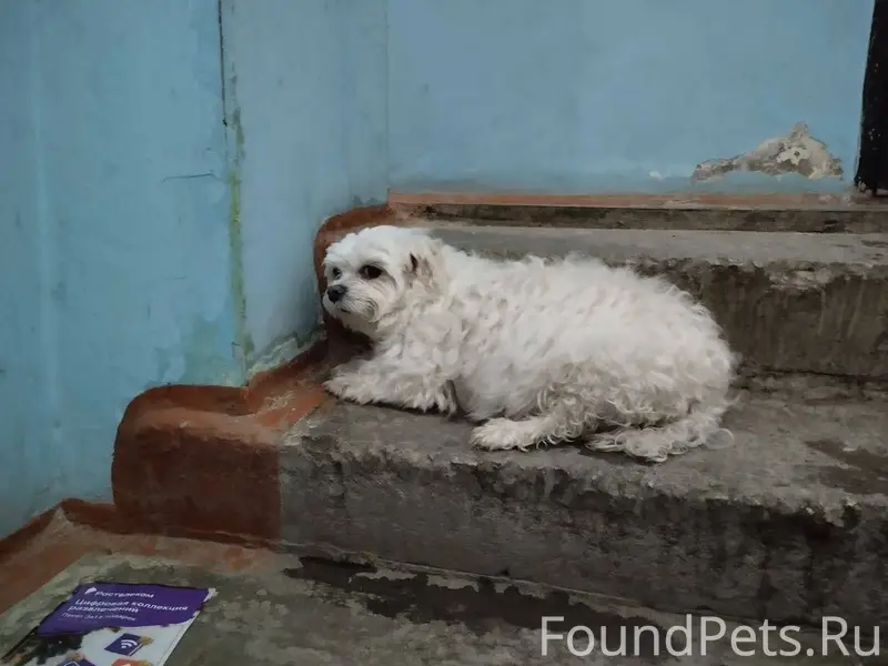 ‼️‼️‼️ТЮМЕНЬ‼️‼️‼️ 🆘🆘В ПОДЪЕЗД...