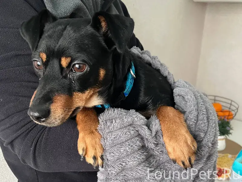 Во двор дома 15 улица Сахалин....