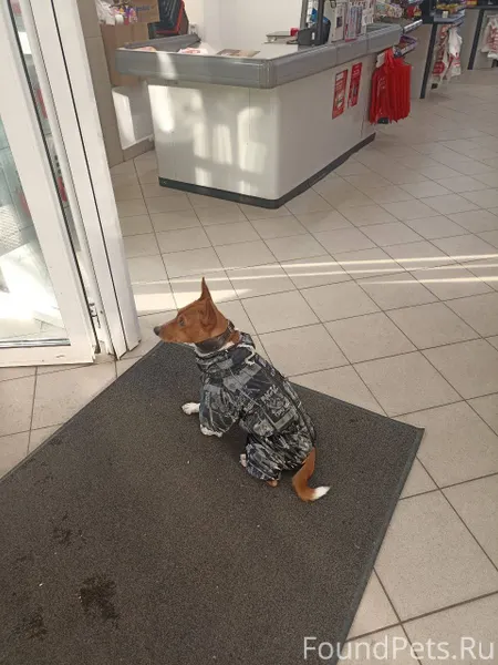 Внимание! У кого-то потерялась...