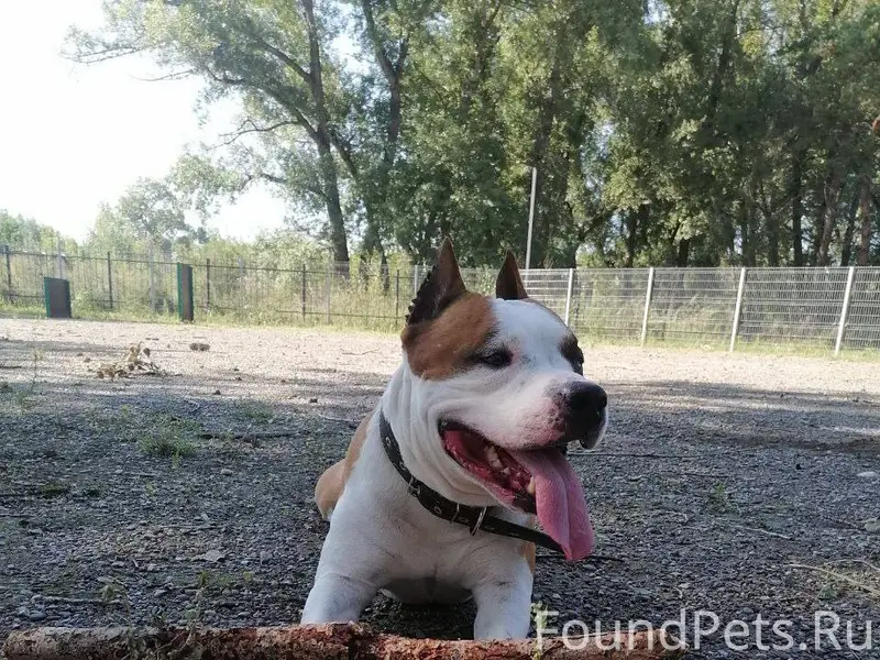 Внимание ‼ Помогите 🆘 Пропал ч...
