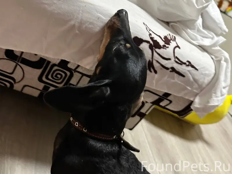 Сегодня в районе 19:00, найден...