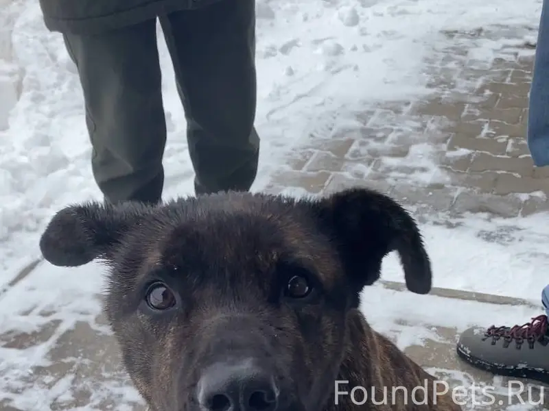 Добрый день по улице Новоборис...