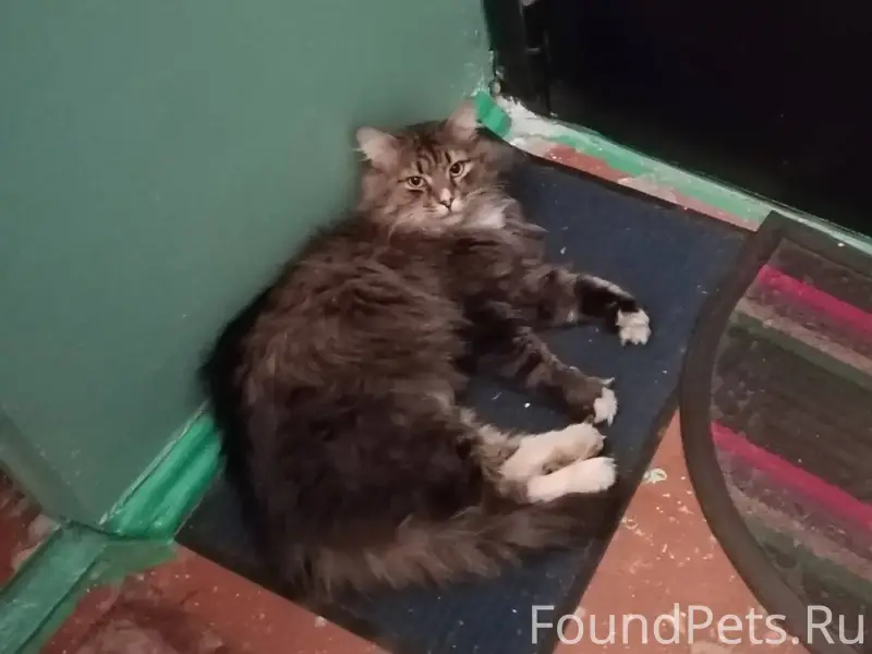 ВНИМАНИЕ!!@Максимальный Репост...