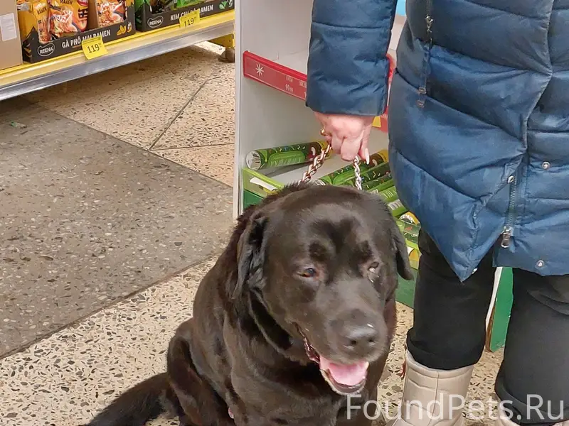 Люди, добрые!!! В Канищево, на...