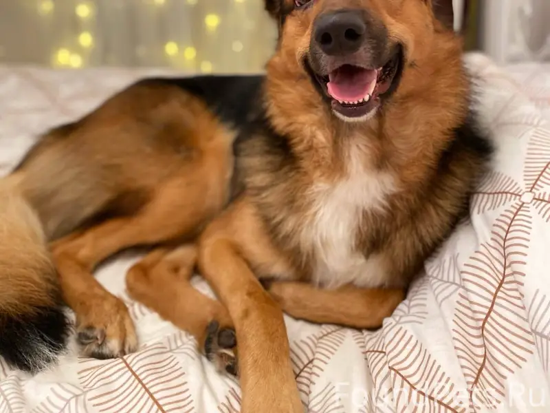 31.01.26г. Приблизительно в 21...